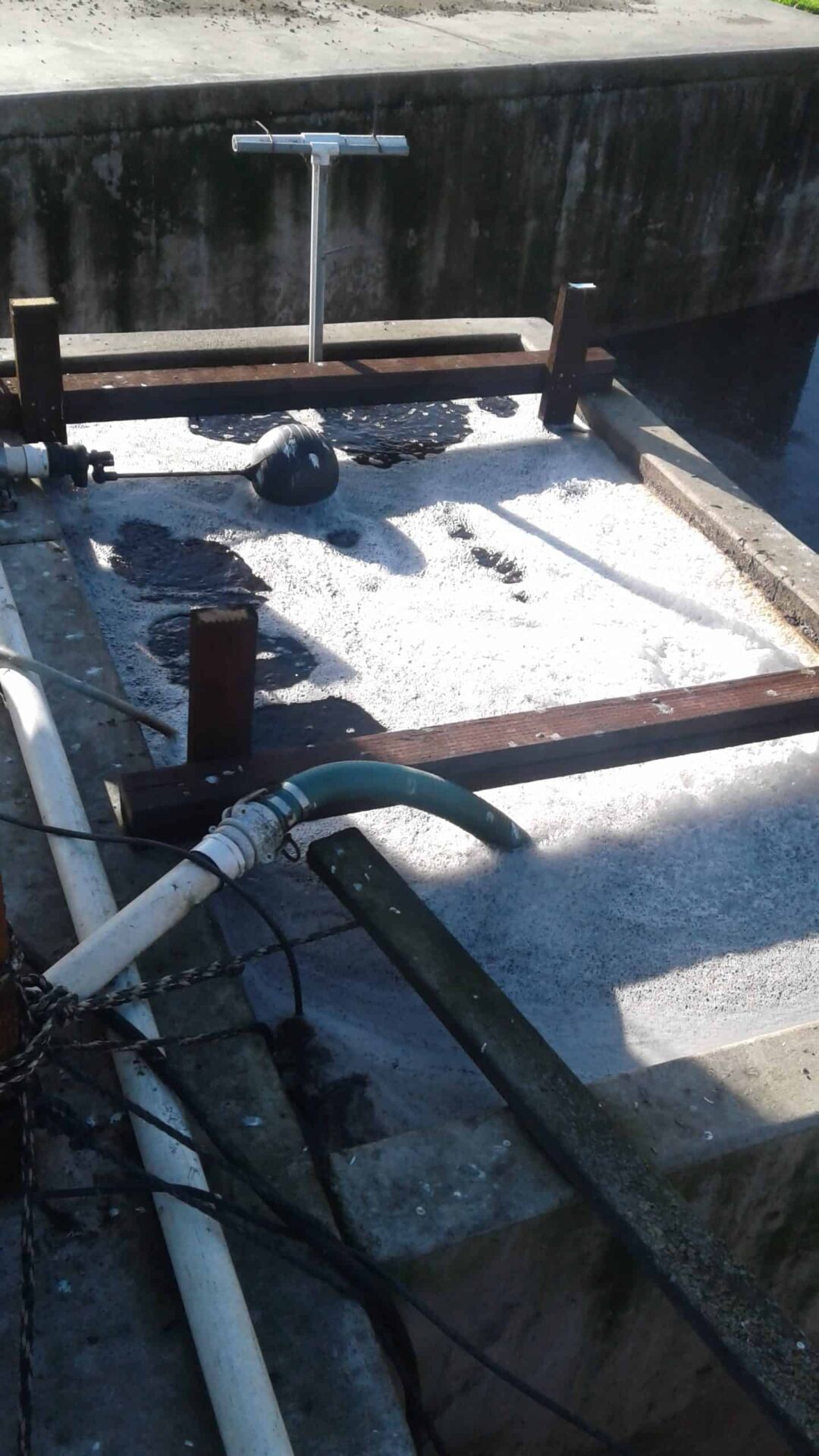 Dosing tank culture basin rotated compressed scaled