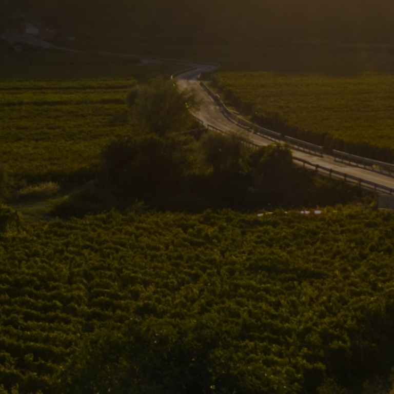 Beautiful road near farm