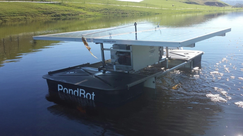 Boat pond sunny day
