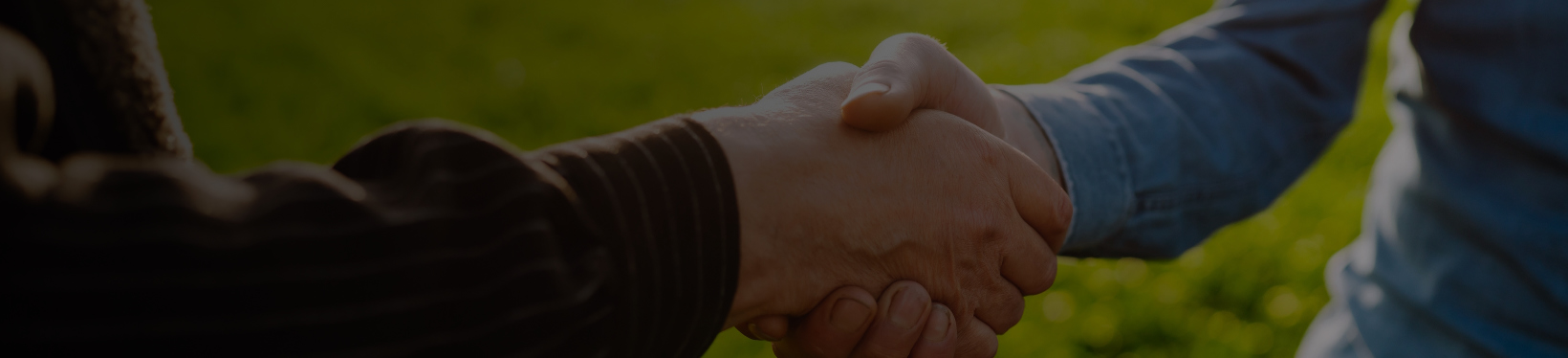 Friends shaking hands
