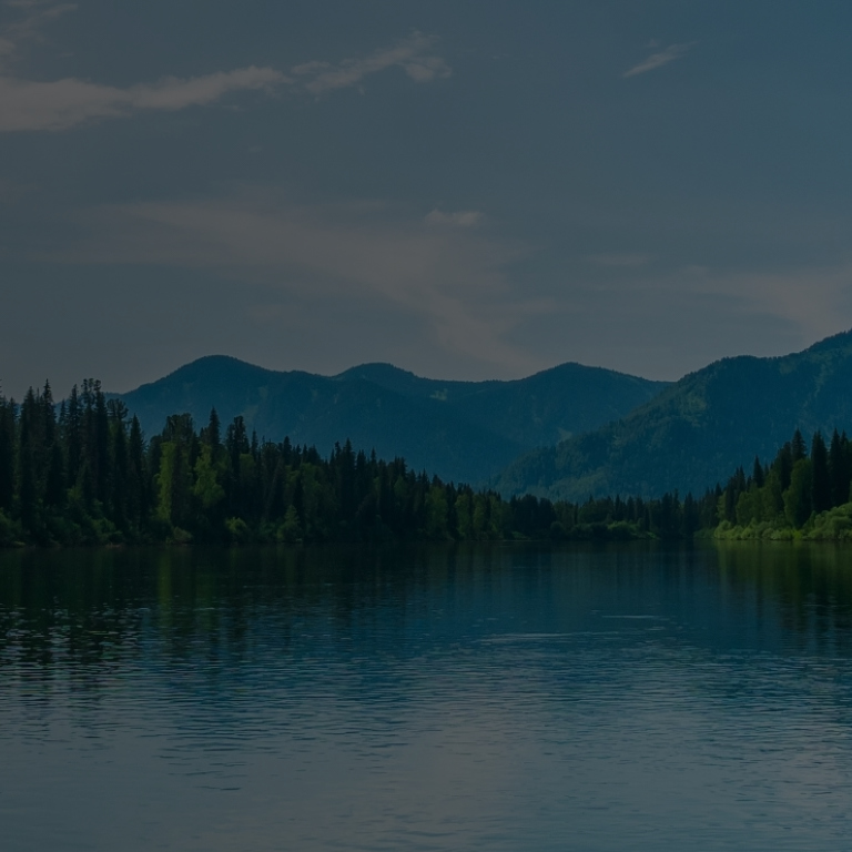 Lake and mountains in the background with trees