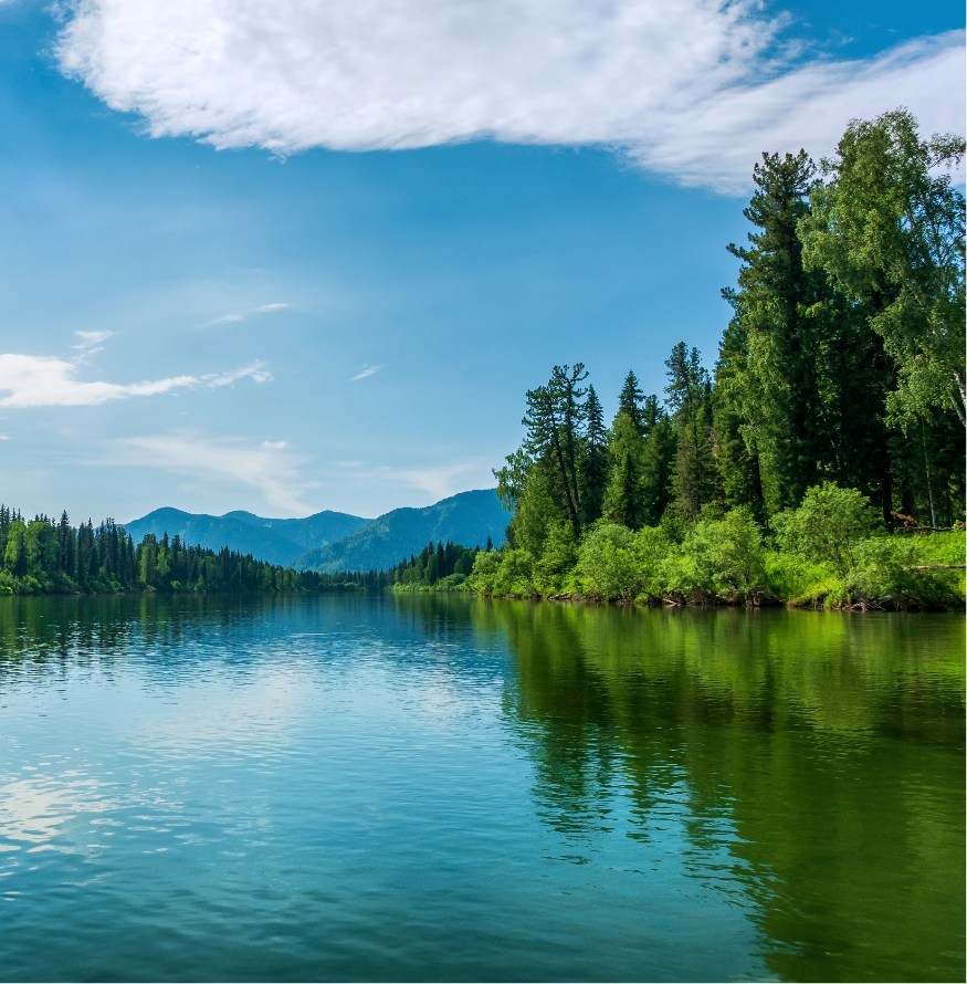 Lake and trees