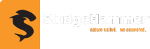 Logo footer