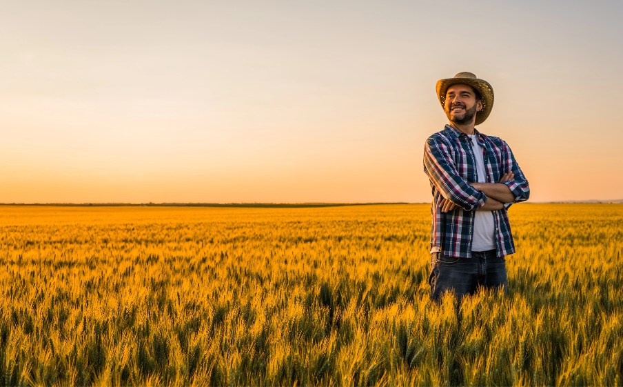 Man in a farm at sunset