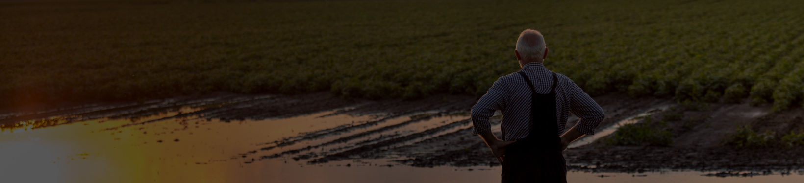 Man looking to the horizon during sunset