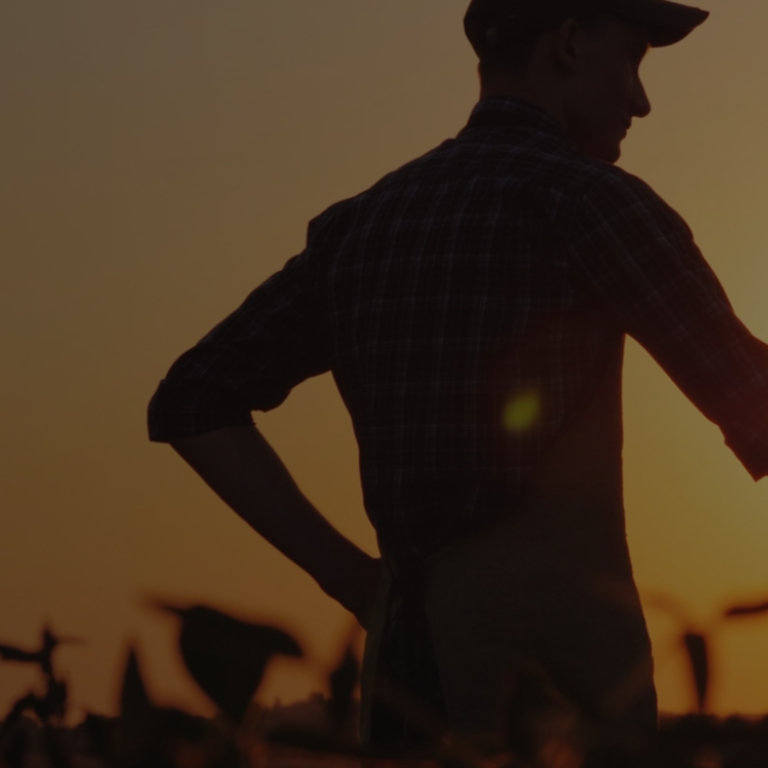 Man working during sunset