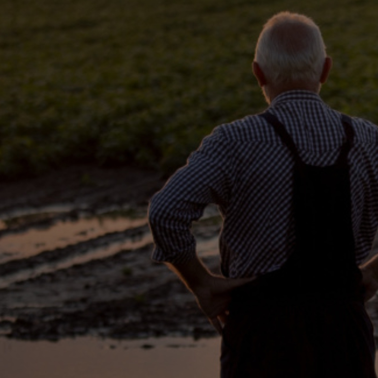 Man working in a farm during sunset
