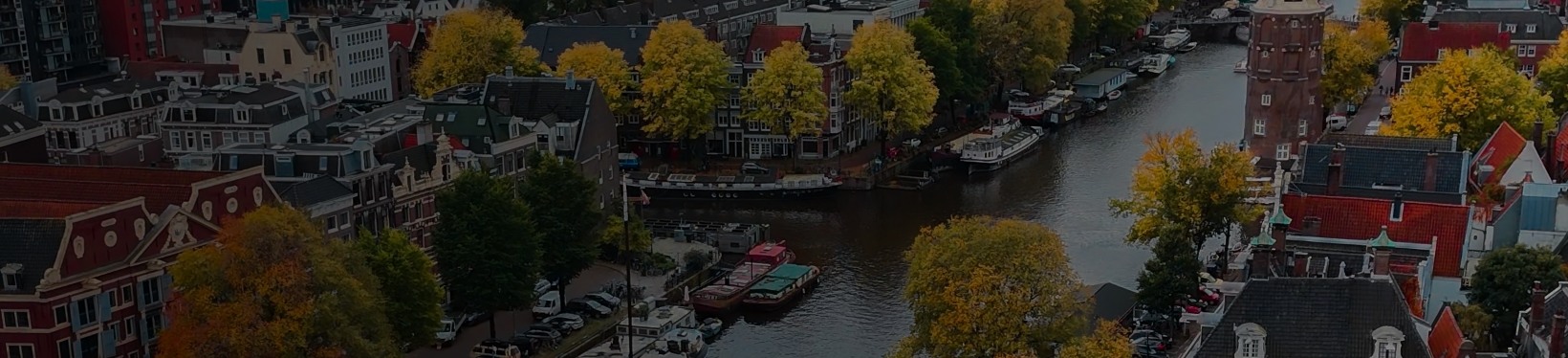 Metropolitan city