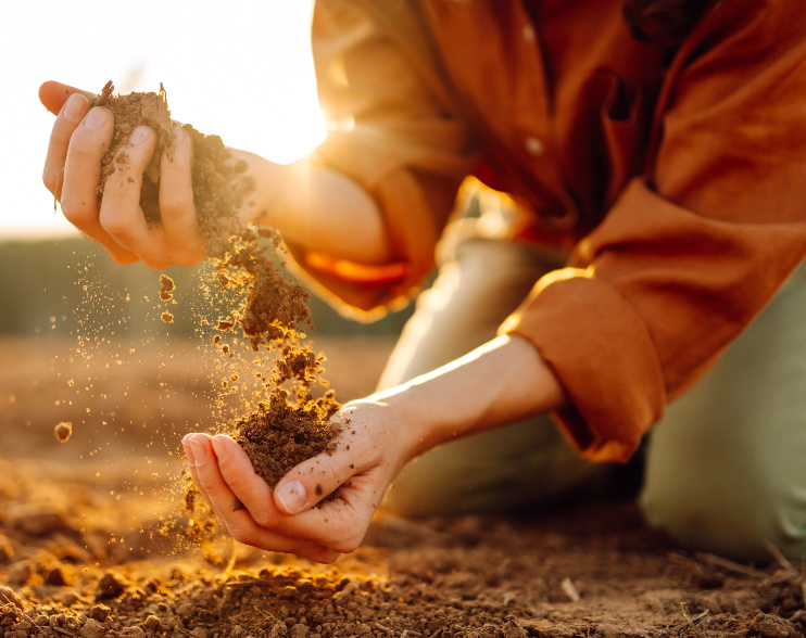 Person working in sand