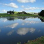 Pond sunny day 150x150