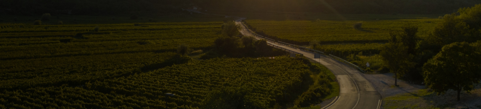 Road close to farm