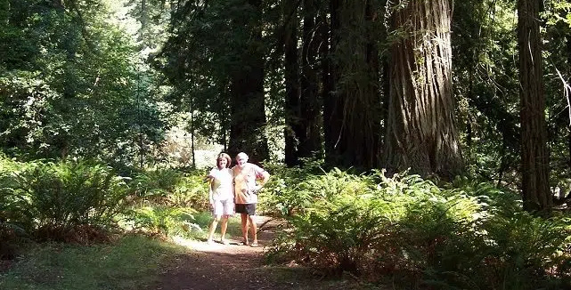 Two people in the forest