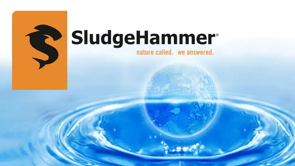 Lake algae control