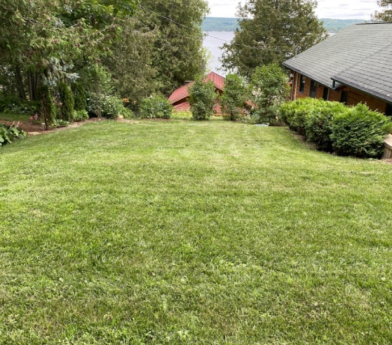 House and grass